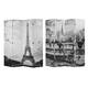 Option Eiffel Tower & Notre Dame