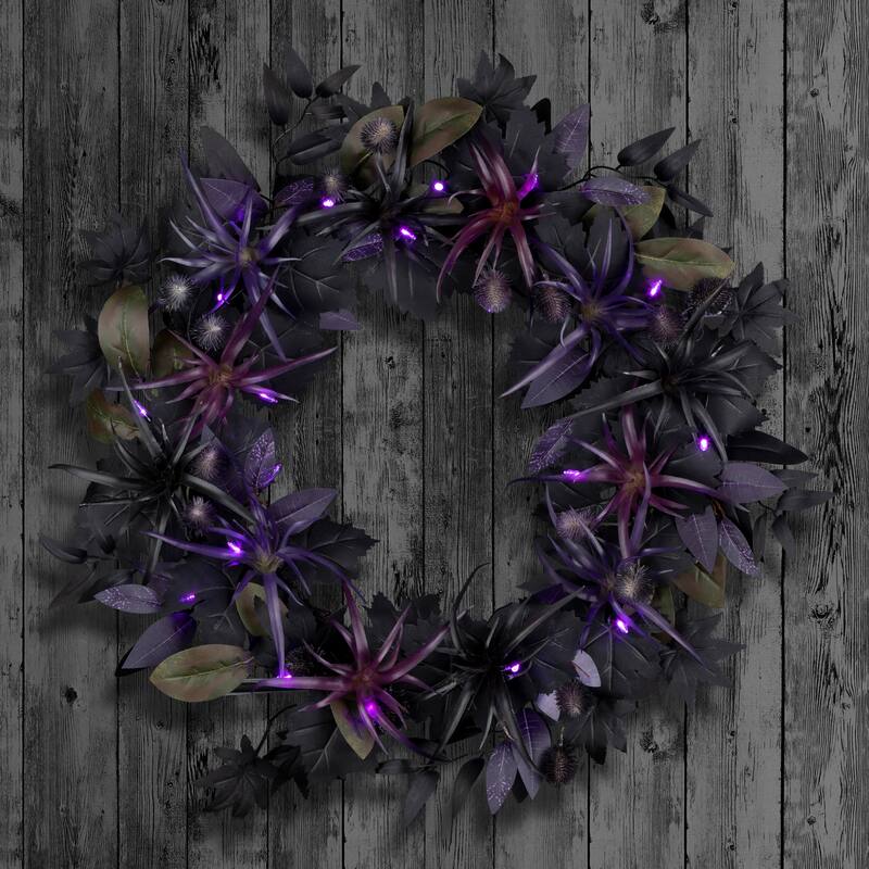 National Tree Company 24" Artificial Scare in the Air Halloween Wreath, 30 Purple LED Lights, Battery Operated - 2 ft