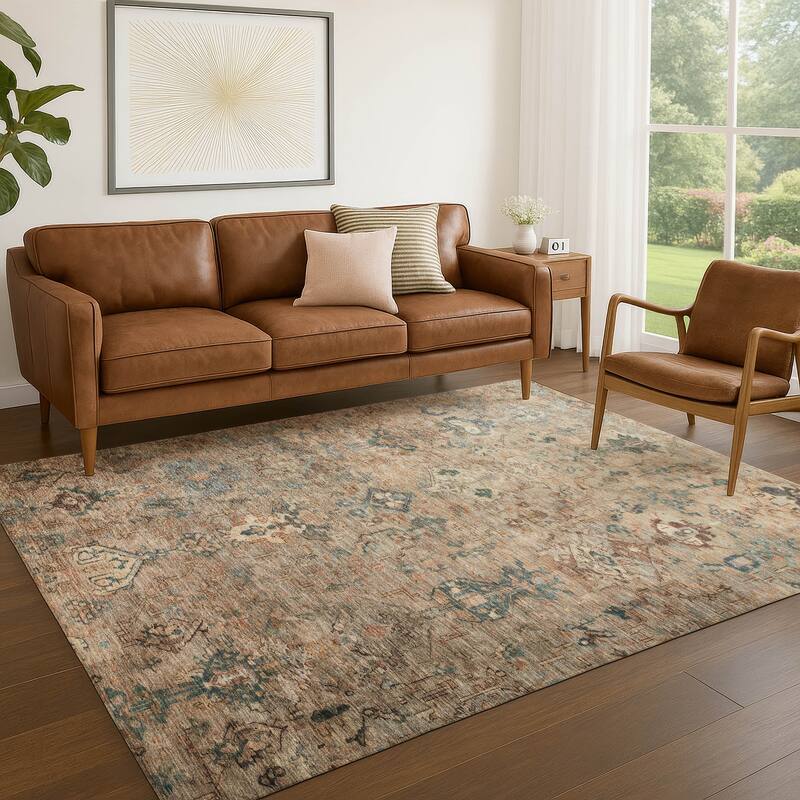 Machine Washable Indoor/ Outdoor Traditional Serenity Chantille Rug