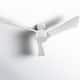 Option White