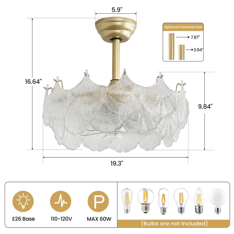 20" Modern Glass Chandelier with Shell Ceiling Fan with Remote Control, Caged with 6 Speeds for Bedroom, Nursery, Living Room