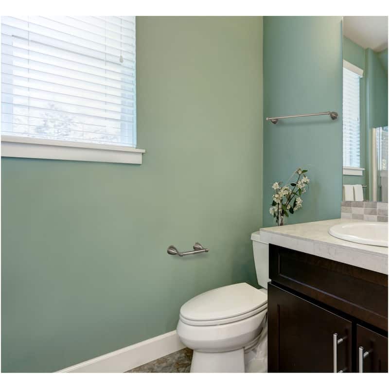 Design House Ames Wall Mounted Spring Bar Toilet Paper Holder