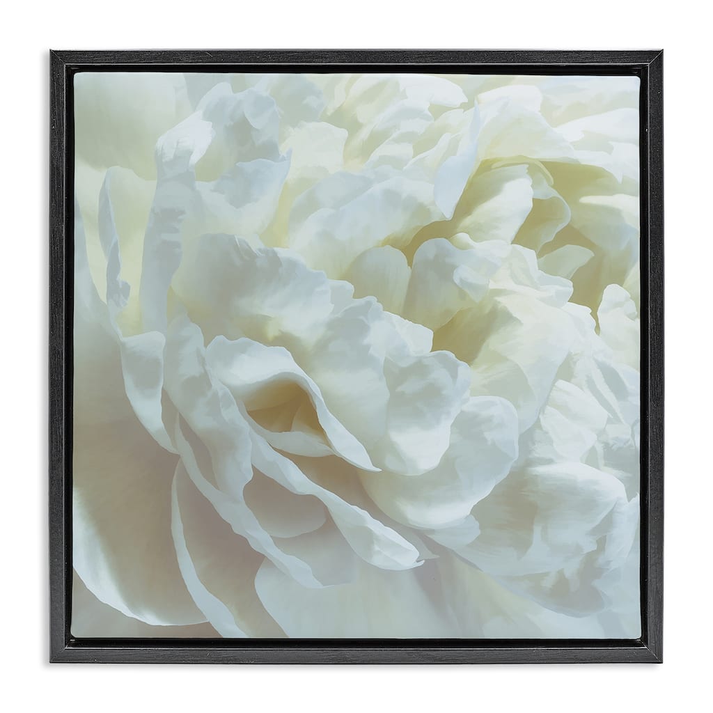 Stupell Elegant White Petals Framed Floater Canvas Wall Art Design By David Pollard