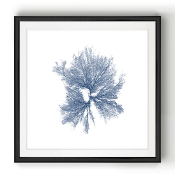 Navy Seaweed III -Black Framed Print. Opens flyout.