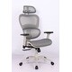 preview thumbnail 1 of 7, Ergonomic Office Chair, High Back Mesh Chair Computer Desk Chair with Lumbar Support and 3D Adjustable Headrest and Armrests