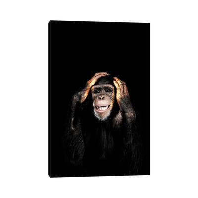 iCanvas "Hear No Evil" by Wouter Rikken Canvas Print