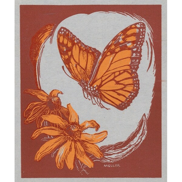 Nature Magazine View Of A Butterfly Hovering Above Flowers Art Print Multiple Sizes Available 9 X 12 Art Print