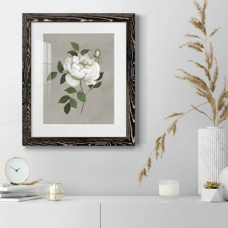 Botanical Rose-Premium Framed Print - Ready to Hang