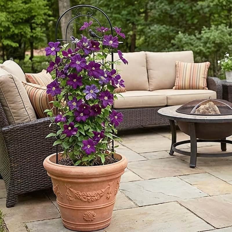 71 in Garden Tall Plant Trellis for Climbing Plants