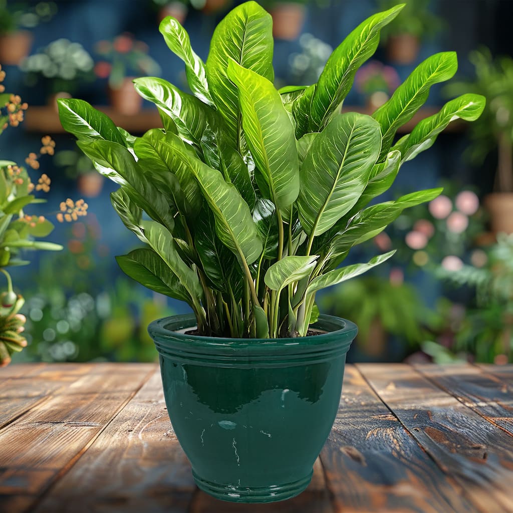 Sunnydaze Studio Glazed Ceramic Planter with Drainage - Dark Green - 15"