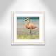 preview thumbnail 1 of 5, Flamingo Fancy II - 17.5'' x 17.5'' 17.5 x 17.5 - White