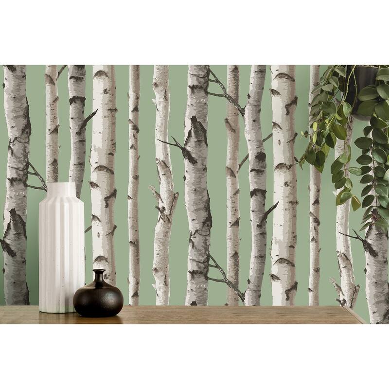 Fine Decor Chester Sage Birch Trees Wallpaper