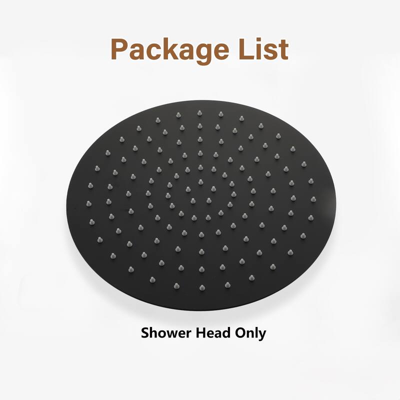 1-Spray Pattern with 2.5 GPM Round Ceiling Mount Rain Fixed Shower Head