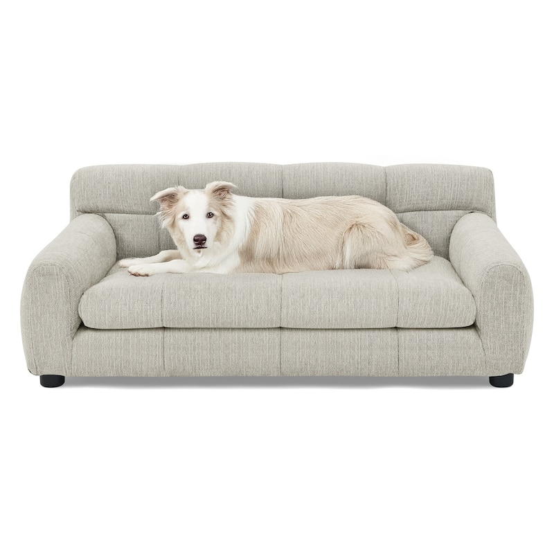 Modern Pet Sofa with Backrest and Armrests Up to 70lbs