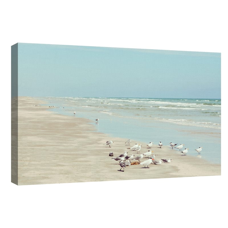 Padre Island Shore Birds by Danita Delimont Canvas Art Print