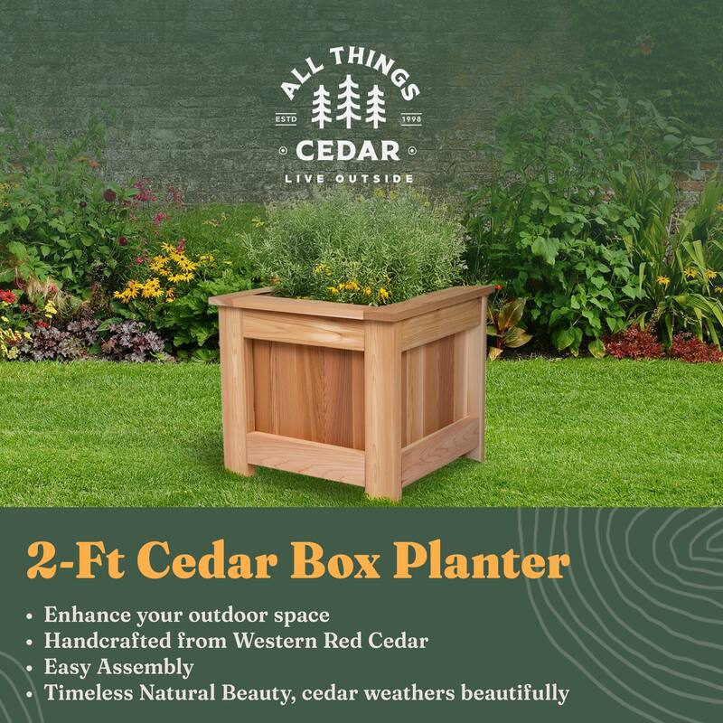 All Things Cedar 2 Foot Cedar Box Planter, Elevated Outdoor Garden Bed, Natural - 32