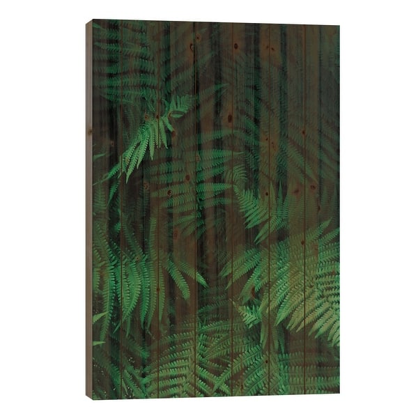 Farns Print On Wood by Sebastian Hilgetag - Multi-Color - Bed Bath & Beyond  - 37969757