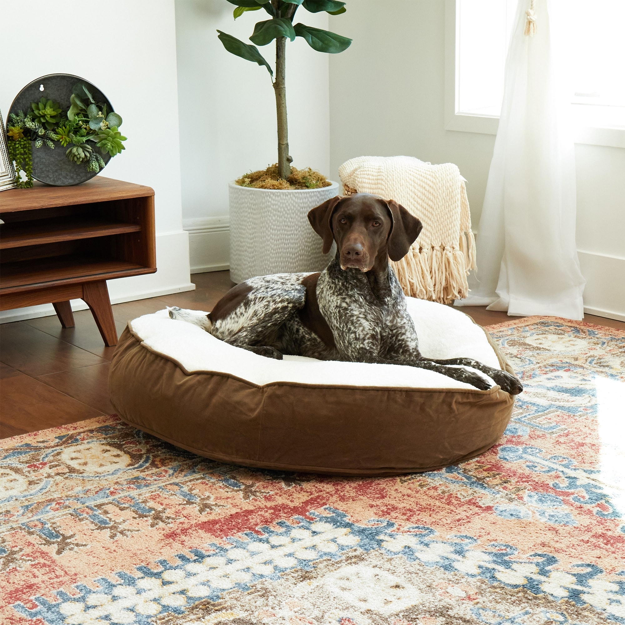 Bed bath and beyond pet beds cheap