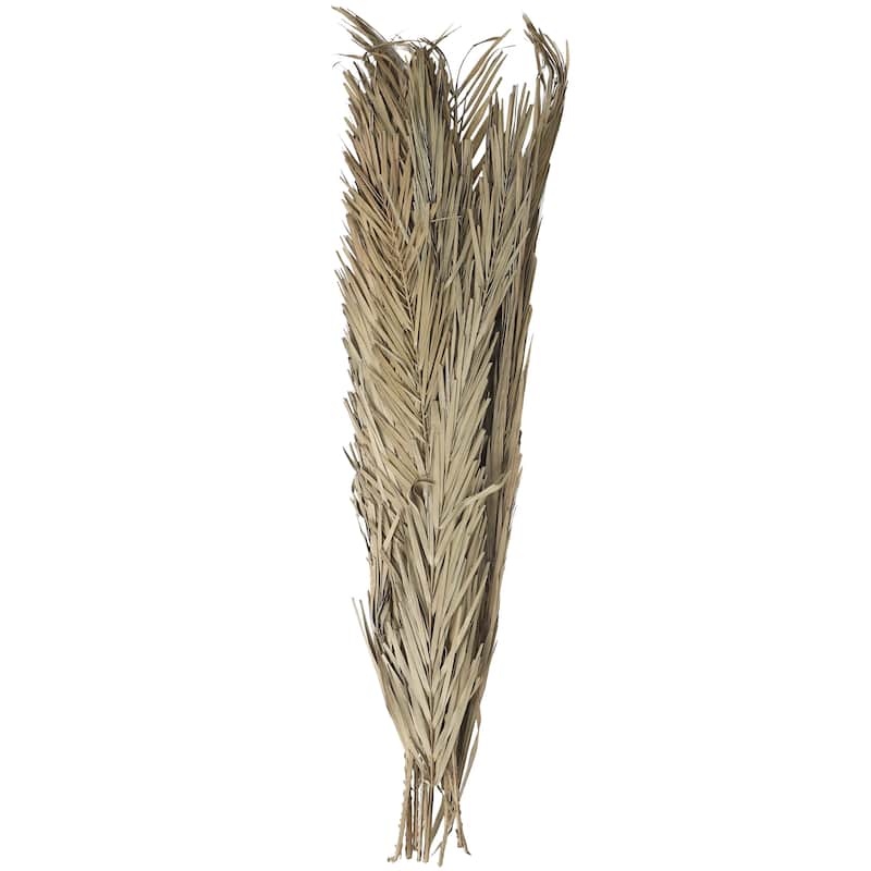 Dried Plant Palm Leaves Tall Home Decor Natural Foliage with Grass - Light Brown, Dark Brown, Green - Roche River Decor