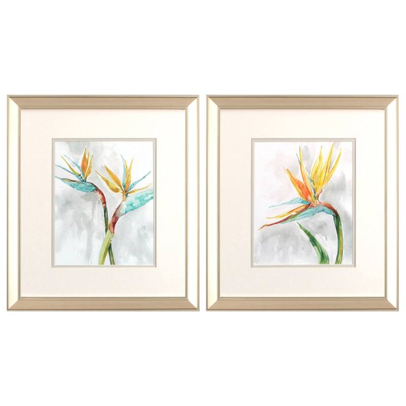 Bird of Paradise S/2 Framed Art Under glass - 17 X 15 X 1