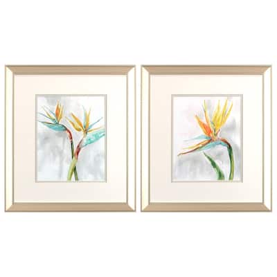 Bird of Paradise S/2 Framed Art Under glass