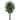 5.5' Palace Ficus Artificial Tree - 6"