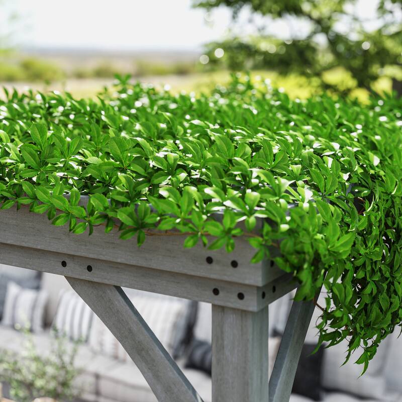 Outsunny 12' x 20' Outdoor Pergola, Wood Gazebo Grape with Concrete Anchors for Climbing Plant Support at Garden, Patio
