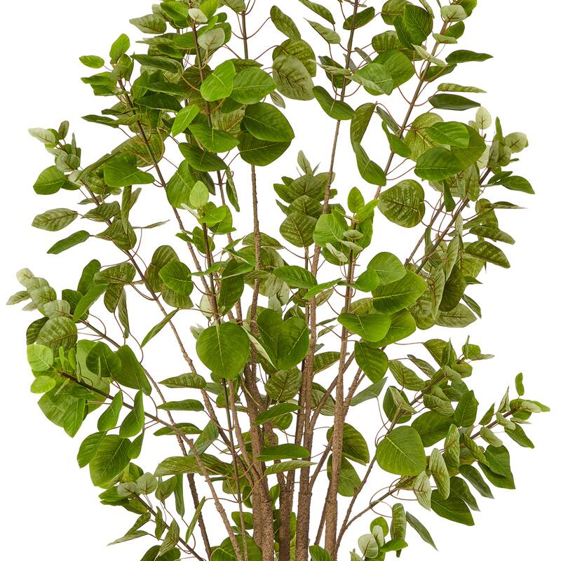 5' UV Potted Smoke Tree