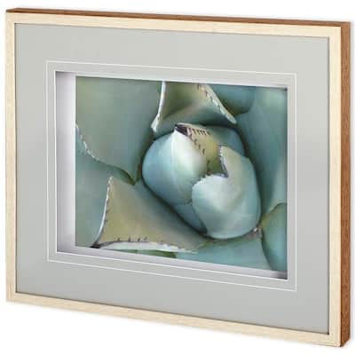 Agave Detail III Framed Art Print