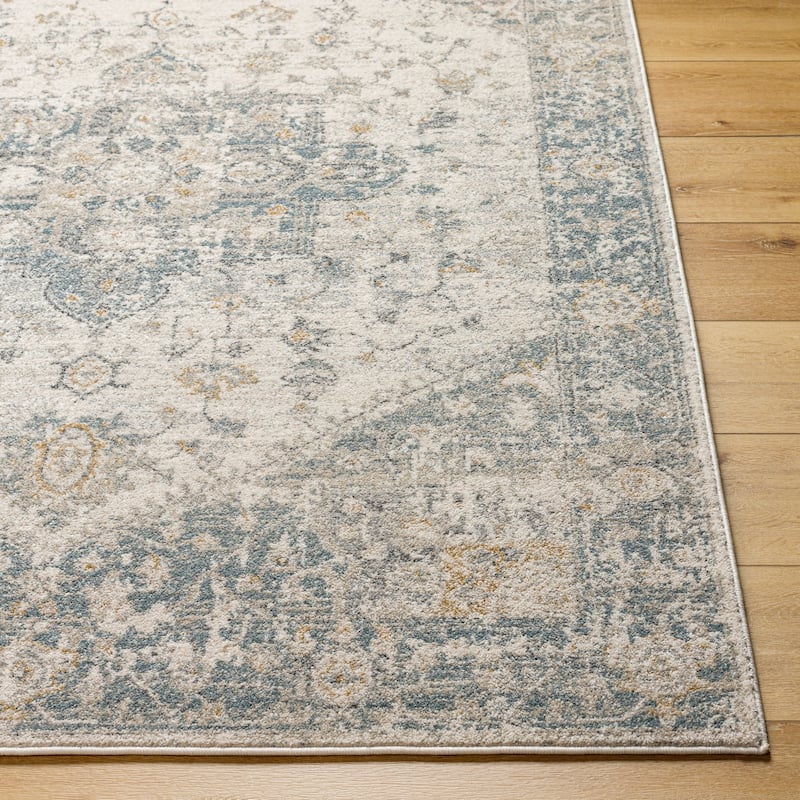 Darcy Traditional Area Rug