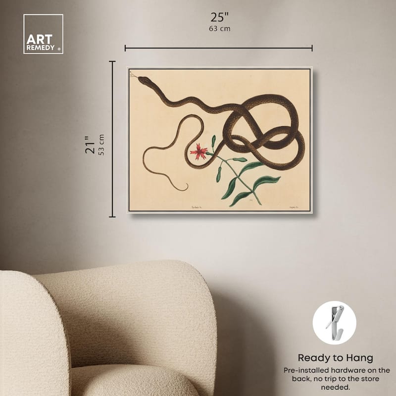 The Coach Whip Snake 1743 Canvas by Art Remedy
