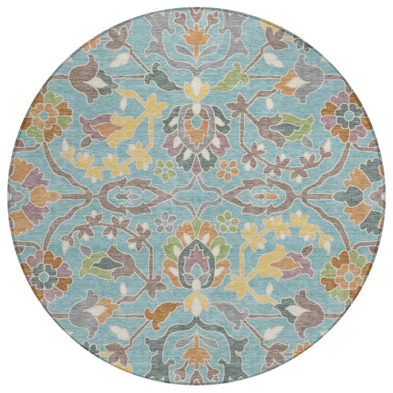 Machine Washable Indoor/ Outdoor Traditional Blanca Chantille Rug