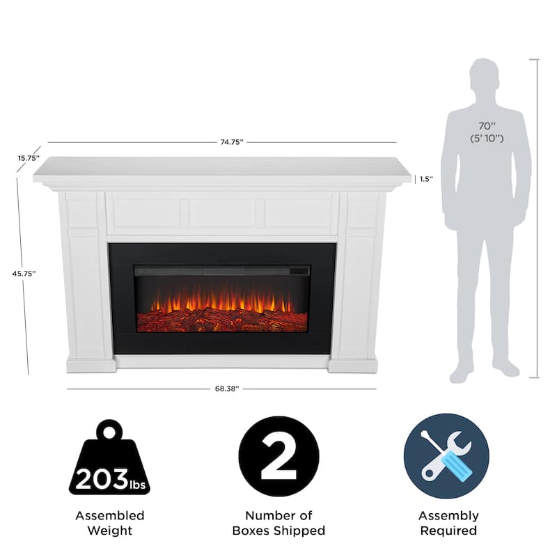 Alcott 75" Landscape Electric Fireplace by Real Flame