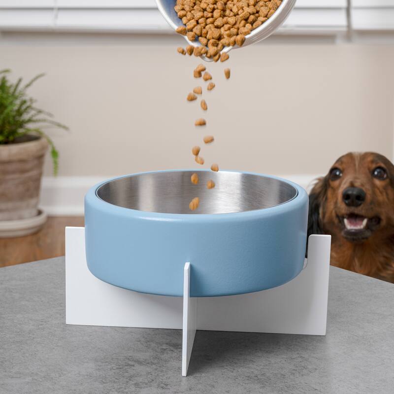 Intersecta Concrete & Steel Pet Feeder - 16oz with Metal Stand