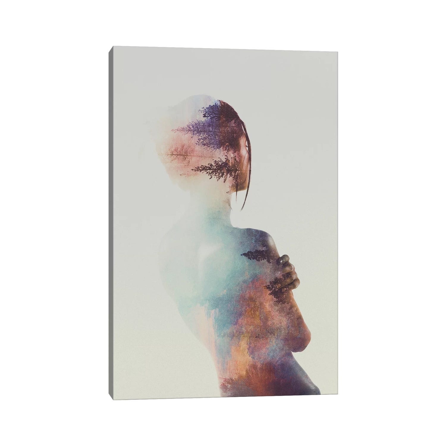 iCanvas "For Free" by Andreas Lie Canvas Print