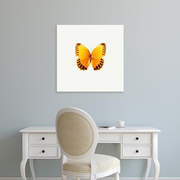 Easy Art Prints PhotoINC Studio's 'Yellow Butterfly' Premium Canvas Art