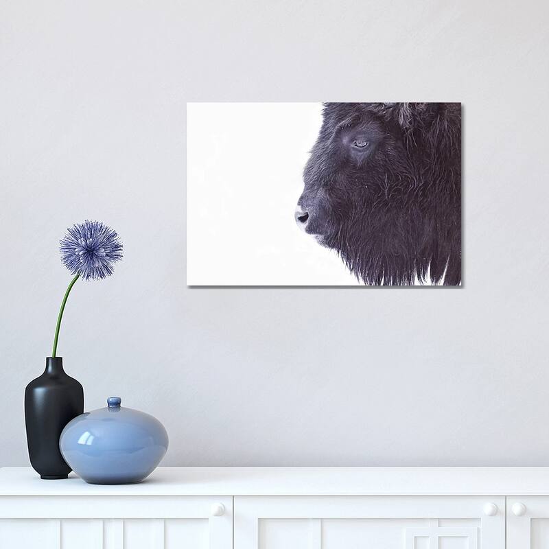 iCanvas "Black Buffalo Portrait" by Monika Strigel Canvas Print - 12x18x1.5