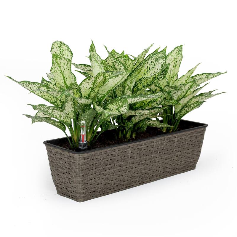 DTY Signature 2-Pack Catleza Self-watering Planter - Hand Woven Wicker - Rectangular