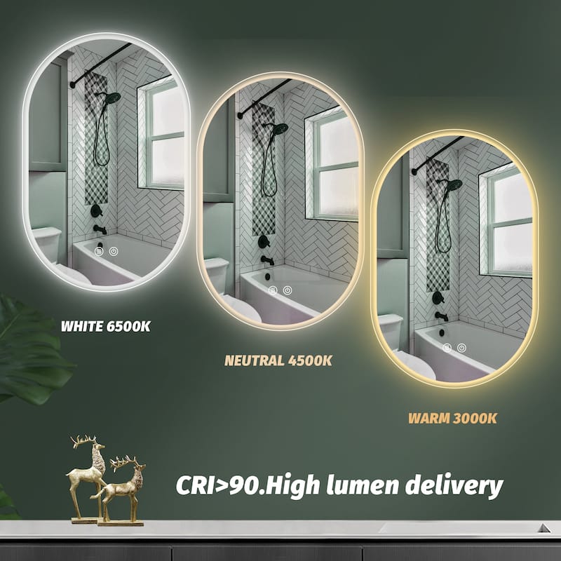 24 in. W x 40 in. H Frameless Oval Anti Fog Dimmable LED Bathroom Mirror - 24" x 40" in.