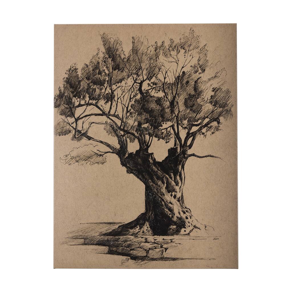 Tree Drawing I (27 x 36) Canvas Art Print