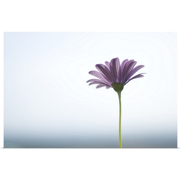 "Side capture of purple daisy in front of bokeh sea and sky background." Poster Print