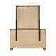 preview thumbnail 15 of 21, Furniture of America Nyess Modern Chestnut Brown 5-Piece Wood Kids Bedroom Set