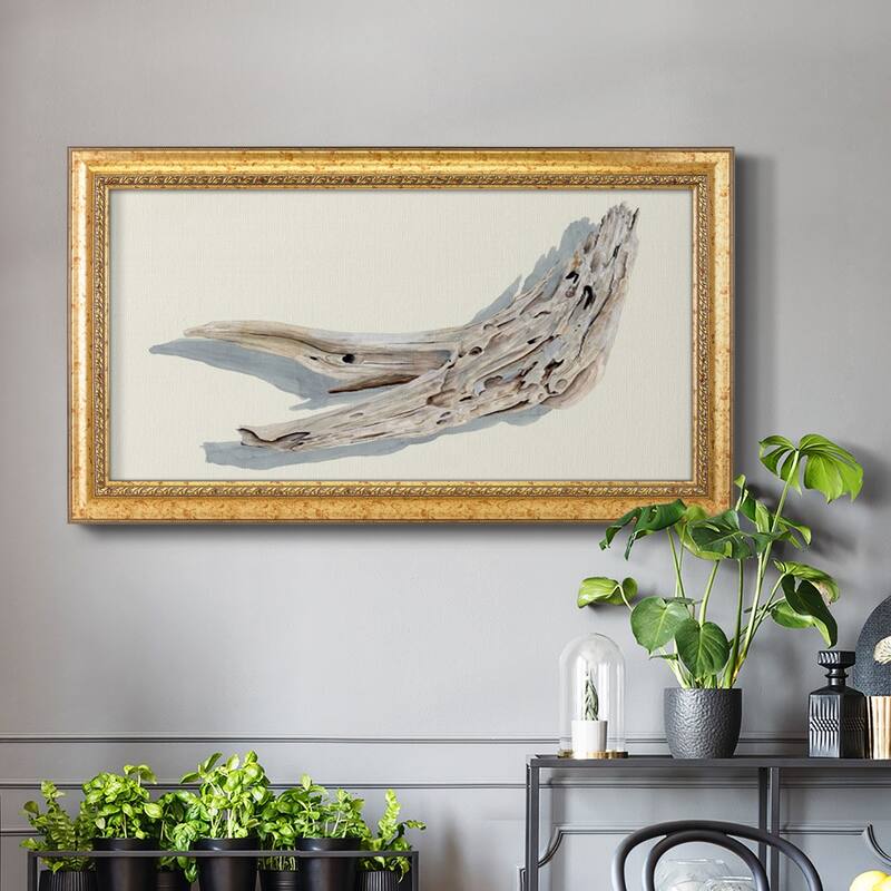 Driftwood Study III Premium Framed Canvas- Ready to Hang