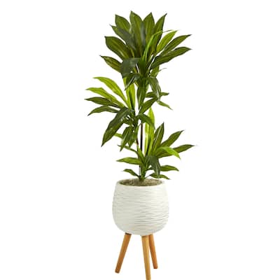 46" Dracaena Artificial Plant in White Planter with Stand (Real Touch)