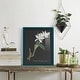preview thumbnail 89 of 118, Orchid on Slate III -Framed Print w/glass-Cherry Red