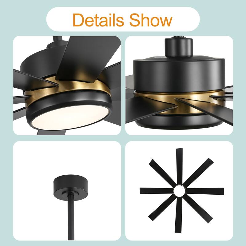 65 Inch 8-Blade Black LED Ceiling Fan with Light and Remote