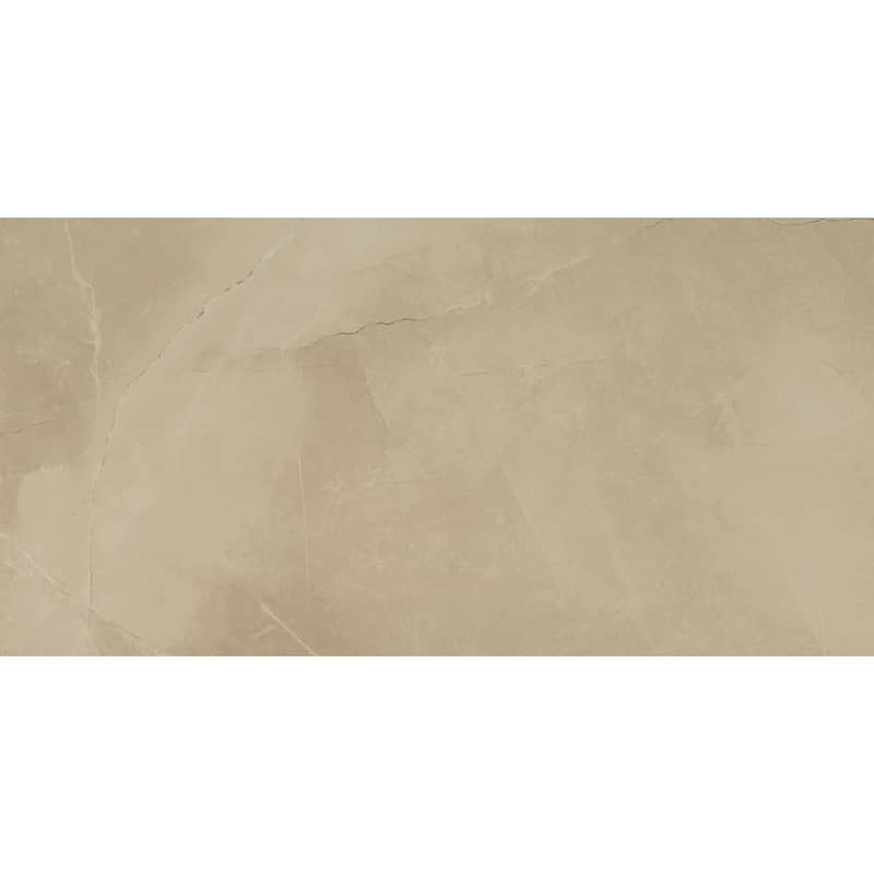 Ackland AKNPTSON12X24M-PL Sonoma - 12" x 24" Rectangle Floor and Wall