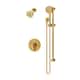 Option Brushed Bronze