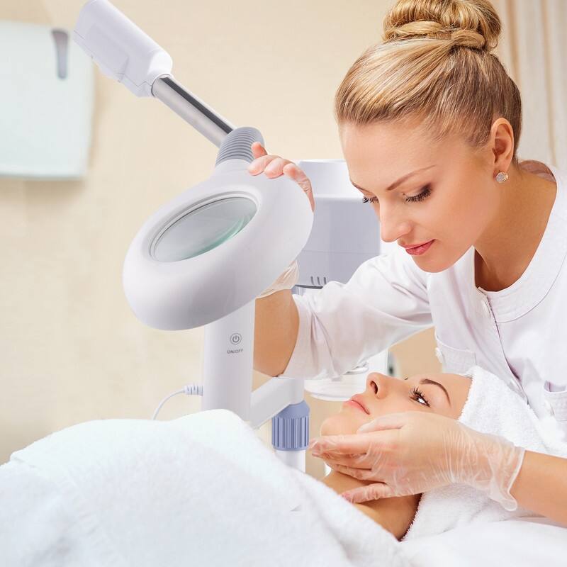 2 in 1 Touch Screen Facial Steamer with 3X Magnifying Lamp for Home Beauty Salon, Personal Skin Care Deep Cleaning - N/A - White