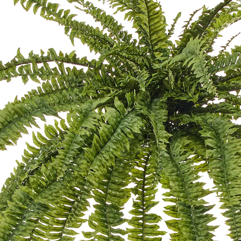 45"Wx57"L UV Jumbo Boston Fern